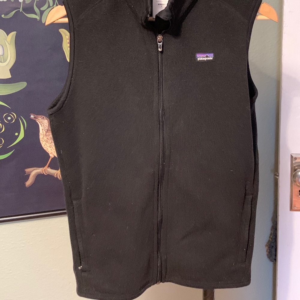 Patagonia sweater vest